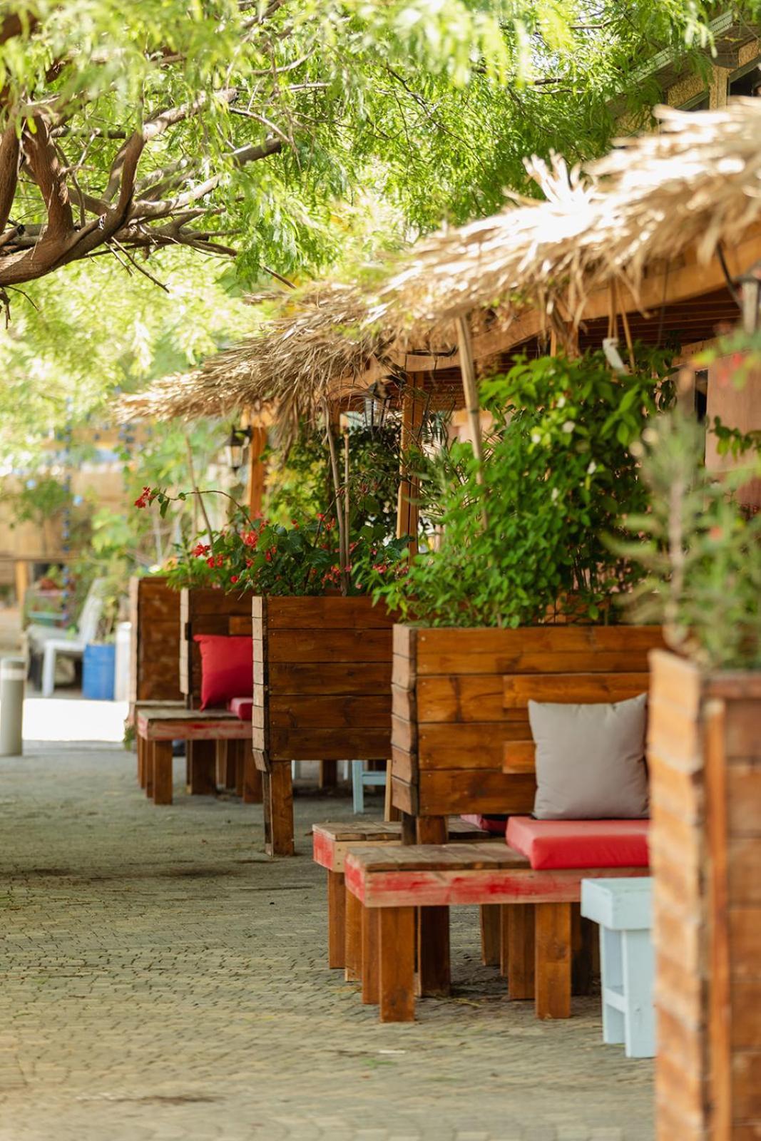 Luna Resort - Mitzpe Ramon Extérieur photo